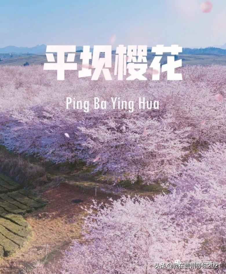 加勒比海度假村