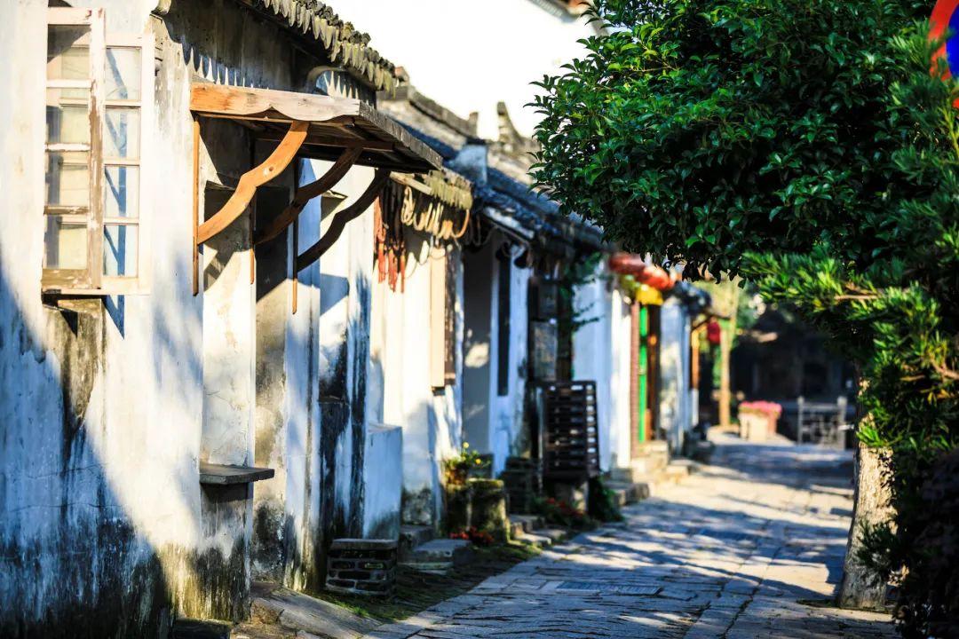 知名品牌全部下线！温州也有门店